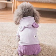 Load image into Gallery viewer, Cute Hoodies Small Dog Clothes Winter Hoodie
