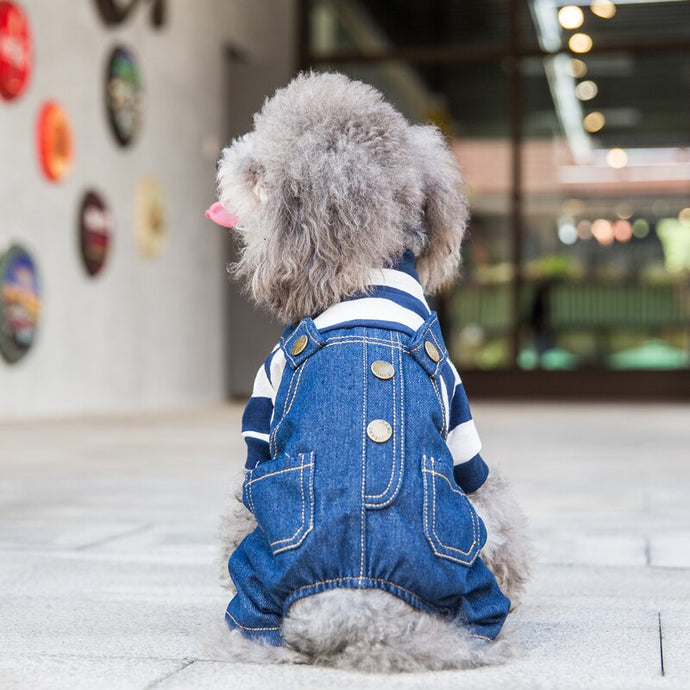 Denim Jumpsuit Pets Clothing Warm Dog Jumpsuit