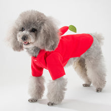 Load image into Gallery viewer, Christmas Puppy Clothes