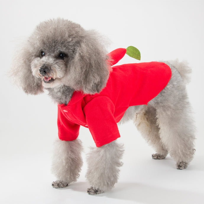 Christmas Puppy Clothes